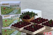 夫满为患高速赋能产业升级：一条“杨梅路”的致富密码